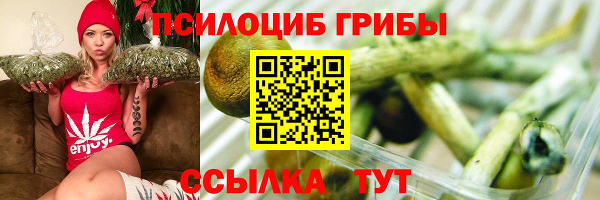 Нарткала  Галлюциногенные грибы Psilocybine cubensis  Вход с VPN 